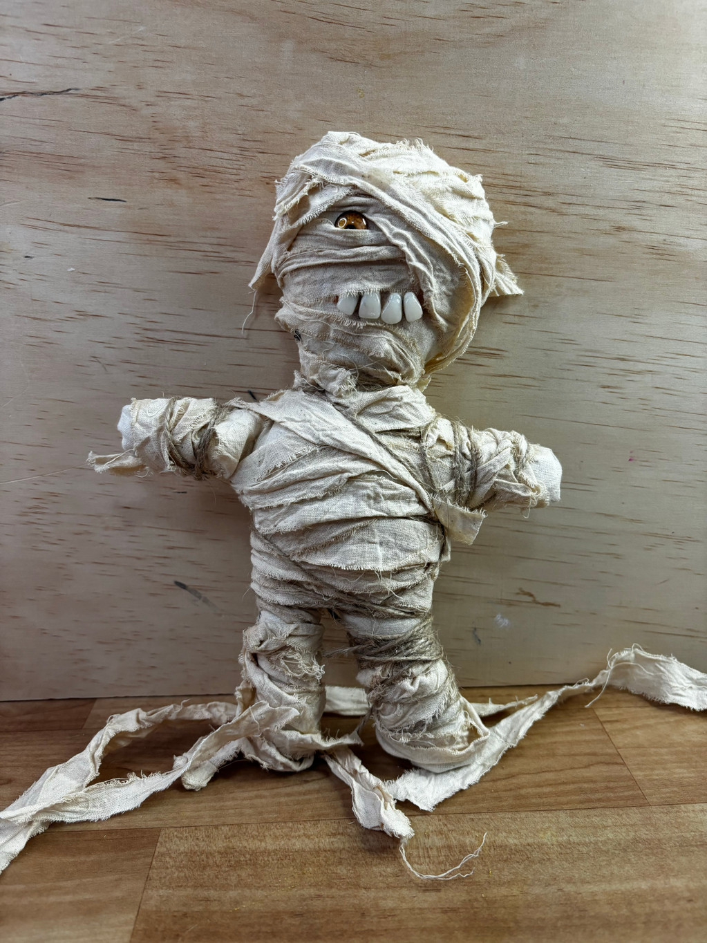 Show Me the Mummy!